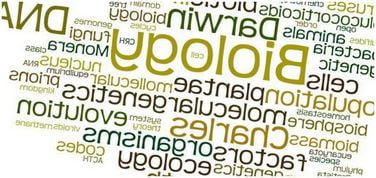 Is Technology Good Or Bad Essay Wholl Do My Essay For Inexpensivedo You Need To Purchase Essays For Affordablepurchase Term Documents For Affordable Of Top Quality Essay About Lessons Learned In Life also Essay Writing At University Level Wholl Do My Essay For Inexpensivedo You Need To Purchase Essays Finding Nemo Essay