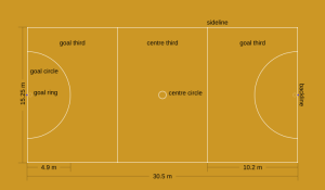 netball positions and their roles