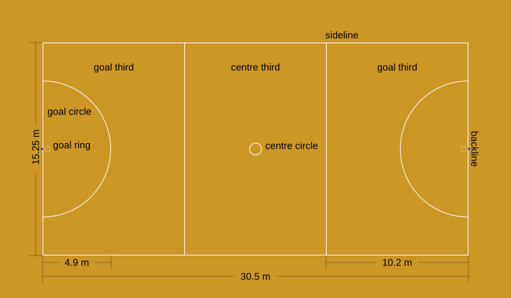 netball positions and their roles