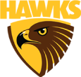 Hawks - Custom netball uniforms