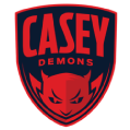 casey demons netball Custom netball uniforms